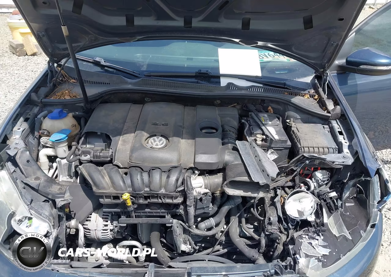 2014 Volkswagen Golf 2.5L VIN:WVWDB7AJ0EW007725 - 10
