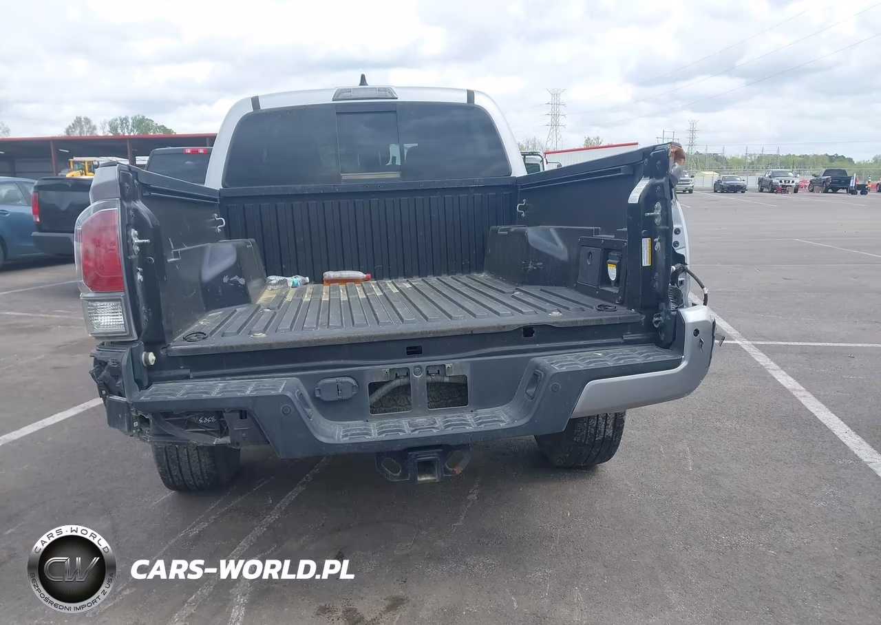 2020 Toyota Tacoma Trd Off-Road VIN:3TMCZ5AN2LM319931 - 16