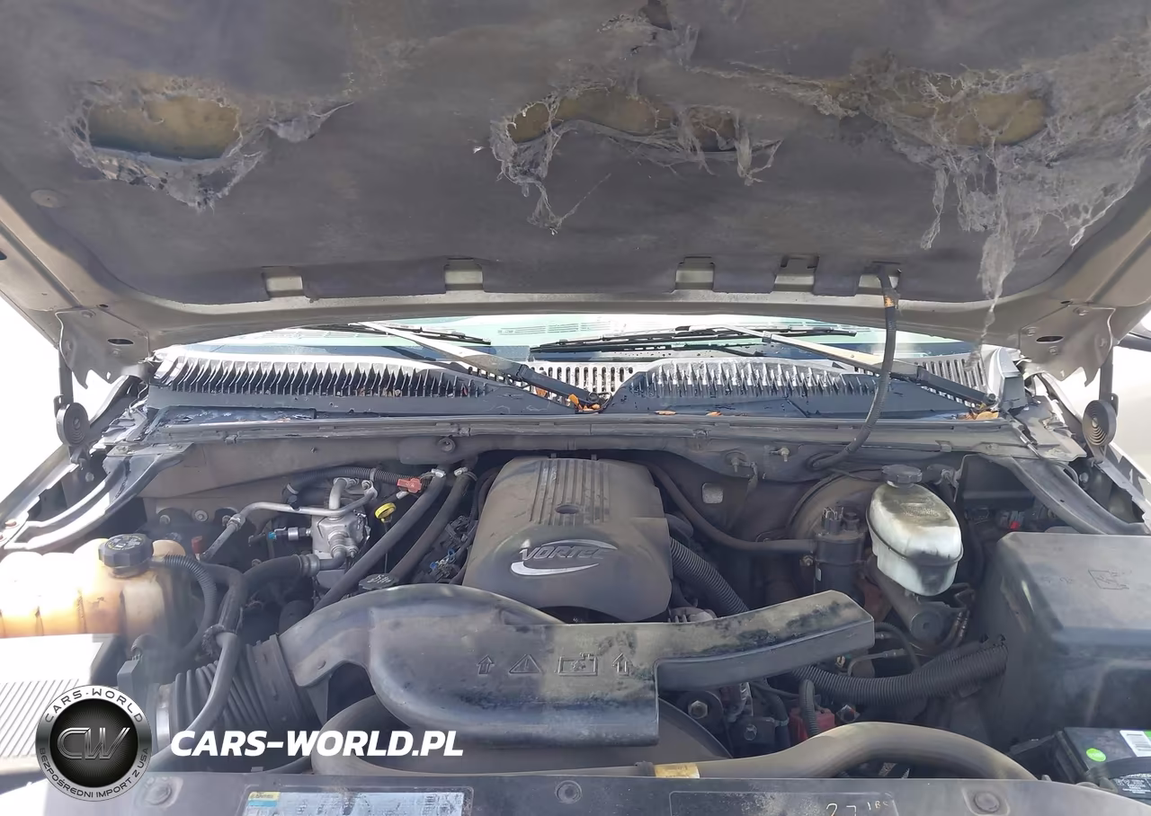 2003 Chevrolet Tahoe Lt VIN:1GNEK13Z03J264485 - 10