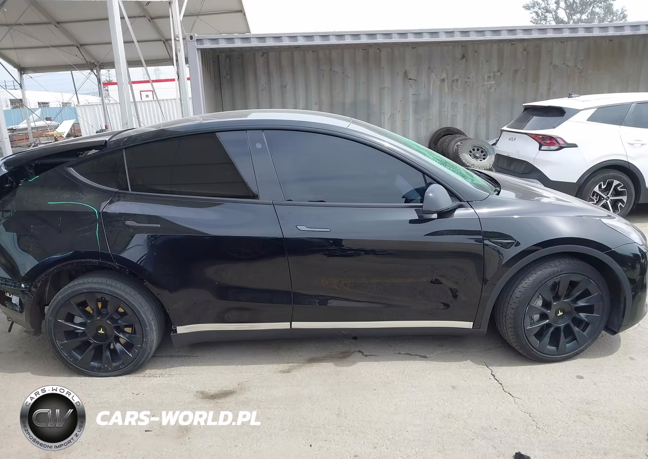 2023 Tesla Model Y Awd-Long Range Dual Motor All-Wheel Drive VIN:7SAYGDEE2PA105239 - 12