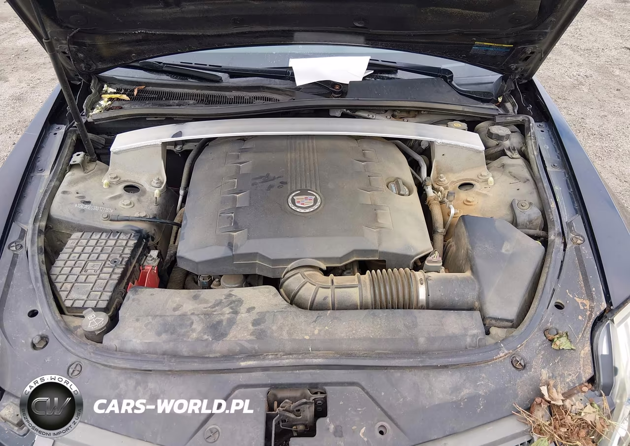 2010 Cadillac Cts Standard VIN:1G6DA5EG3A0127167 - 10