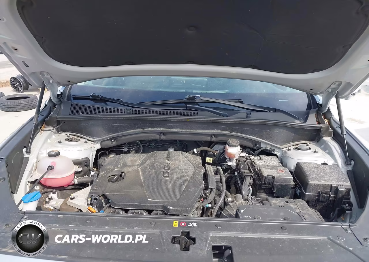 2023 Hyundai Santa Fe Sel VIN:5NMS2DAJ3PH501041 - 10