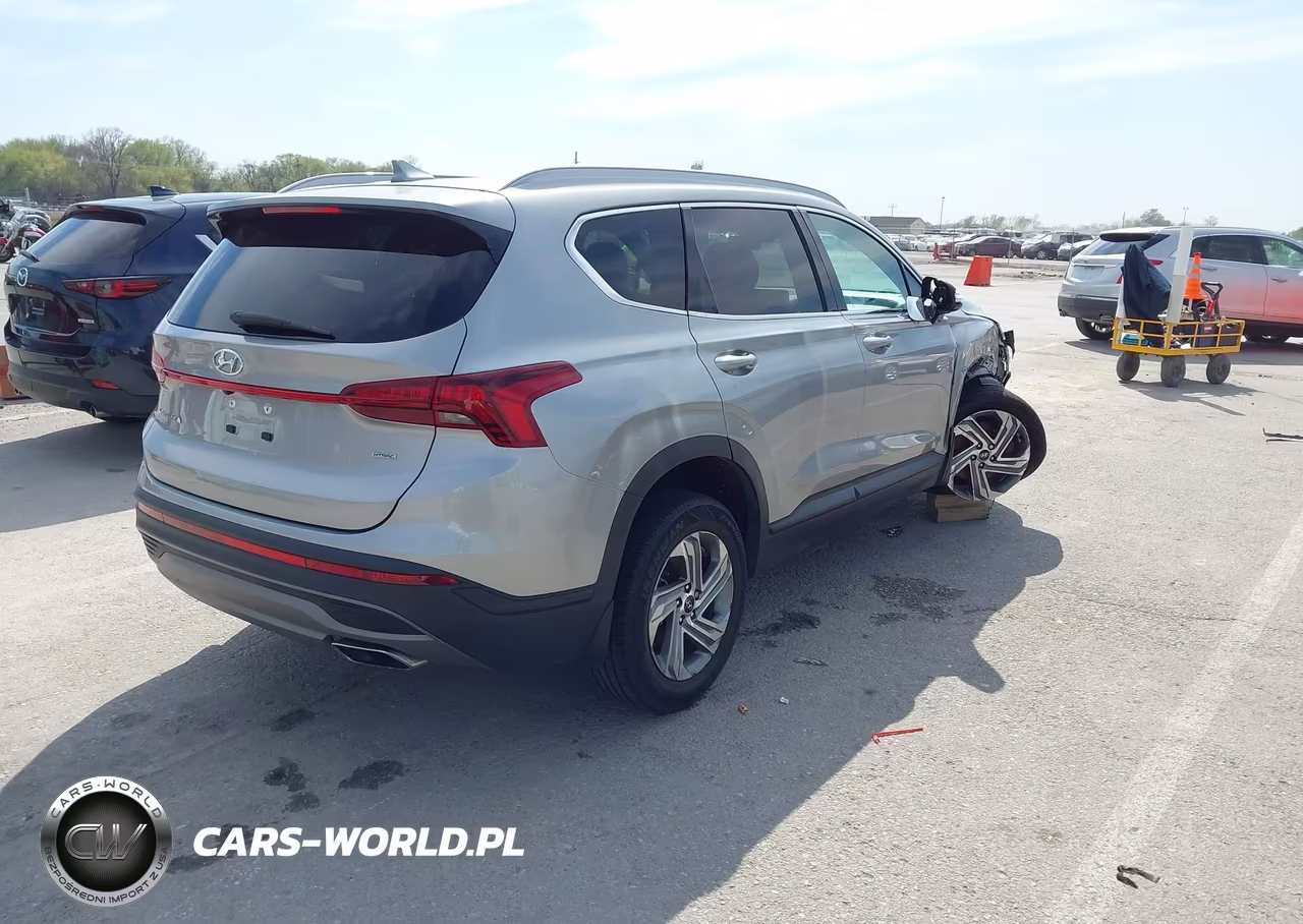 2023 Hyundai Santa Fe Sel VIN:5NMS2DAJ3PH501041 - 4