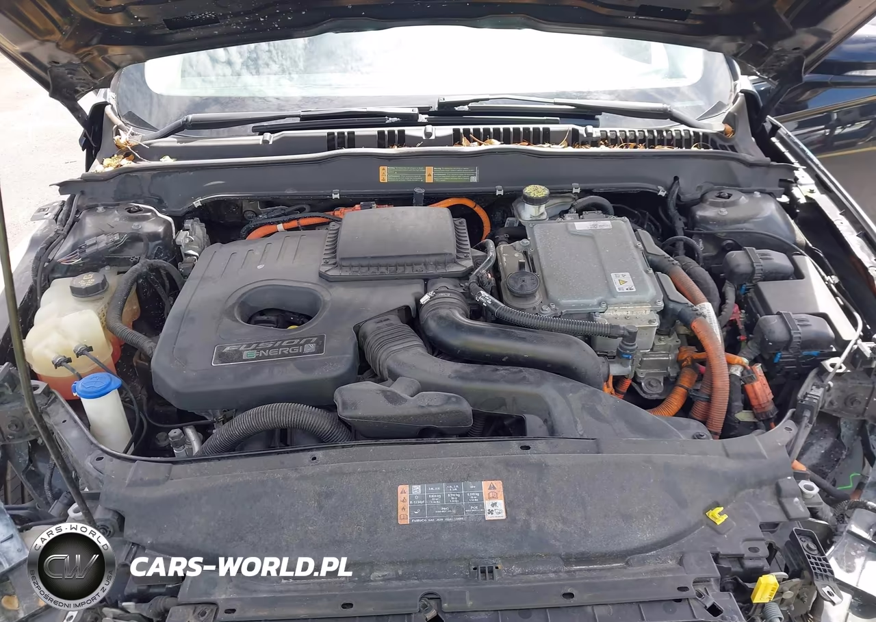 2019 Ford Fusion Energi Titanium VIN:3FA6P0SU4KR161806 - 10
