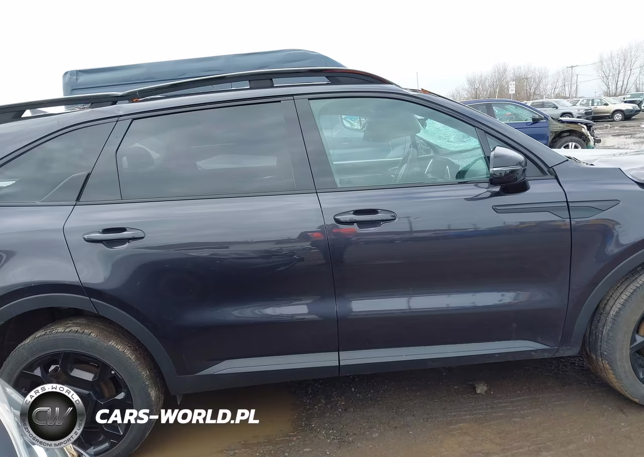 2025 Kia Sorento X-Line Ex VIN:5XYRHDJFXSG336617 - 13