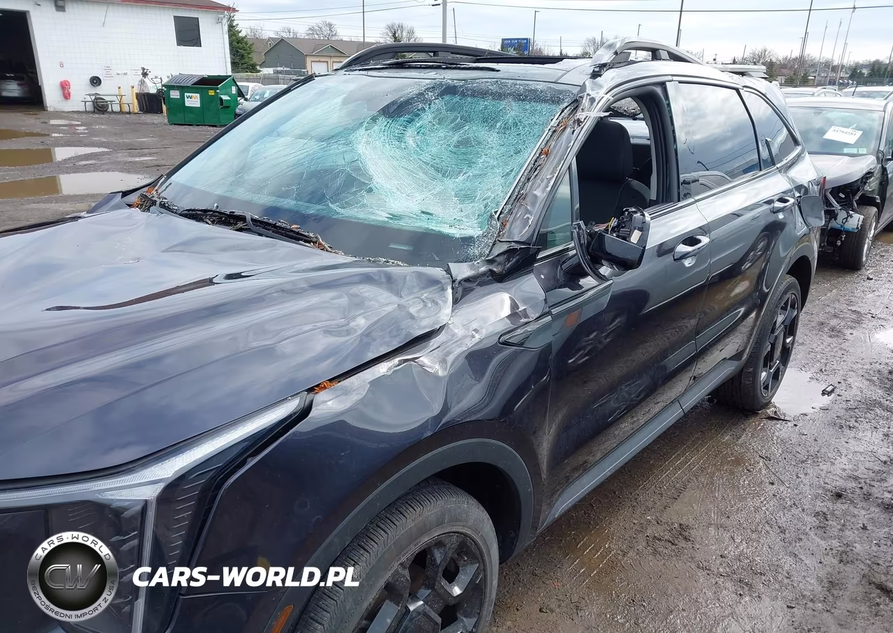 2025 Kia Sorento X-Line Ex VIN:5XYRHDJFXSG336617 - 17