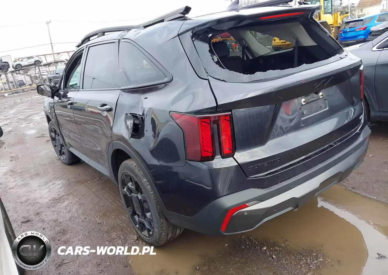 2025 Kia Sorento X-Line Ex VIN:5XYRHDJFXSG336617 - 3
