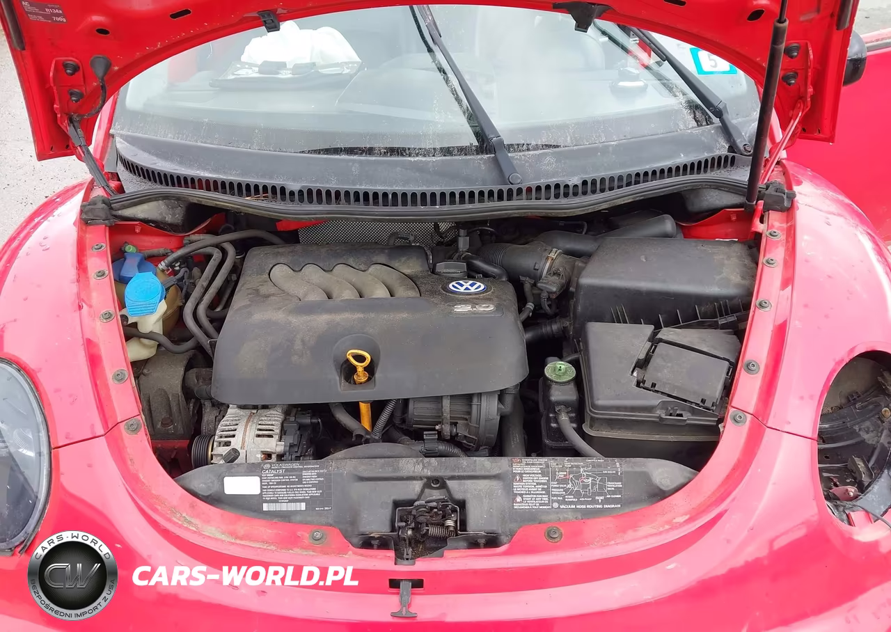 2002 Volkswagen New Beetle Gls VIN:3VWCK21C92M413365 - 10