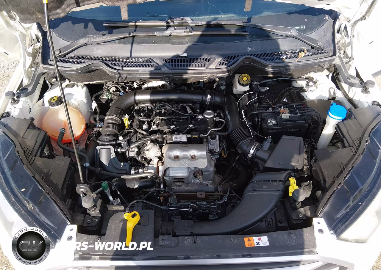 2020 Ford Ecosport Se VIN:MAJ3S2GE8LC357410 - 10