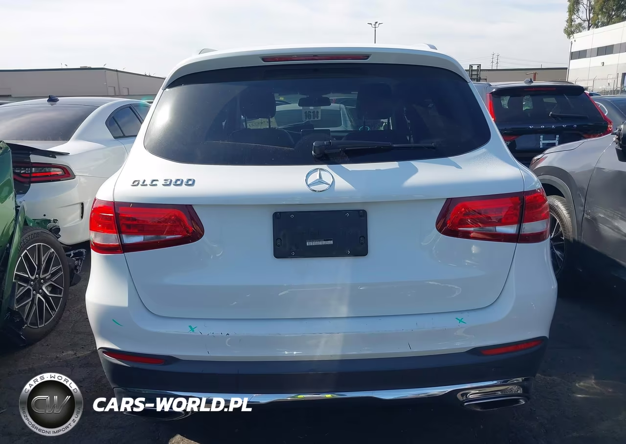 2016 Mercedes-Benz Glc 300 VIN:WDC0G4JB8GF070480 - 17