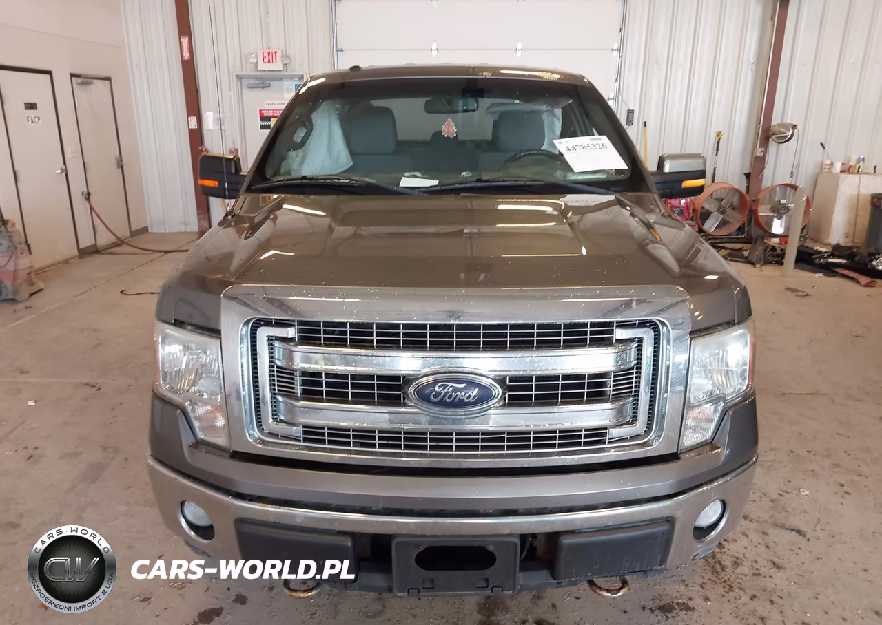 2013 Ford F-150 Xlt VIN:1FTEX1EM7DFB70443 - 12