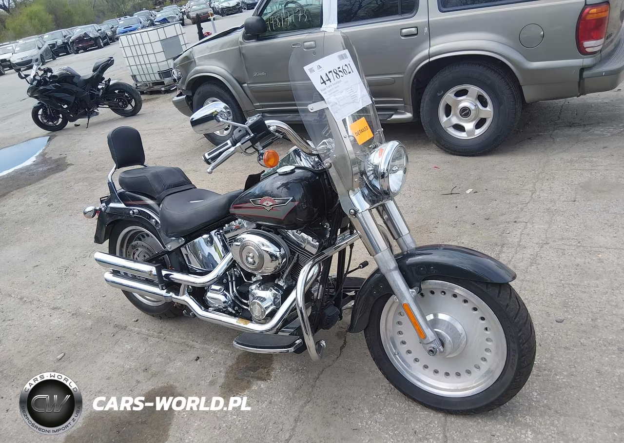 2008 Harley-Davidson Flstf – zdjęcie 1 z 13
