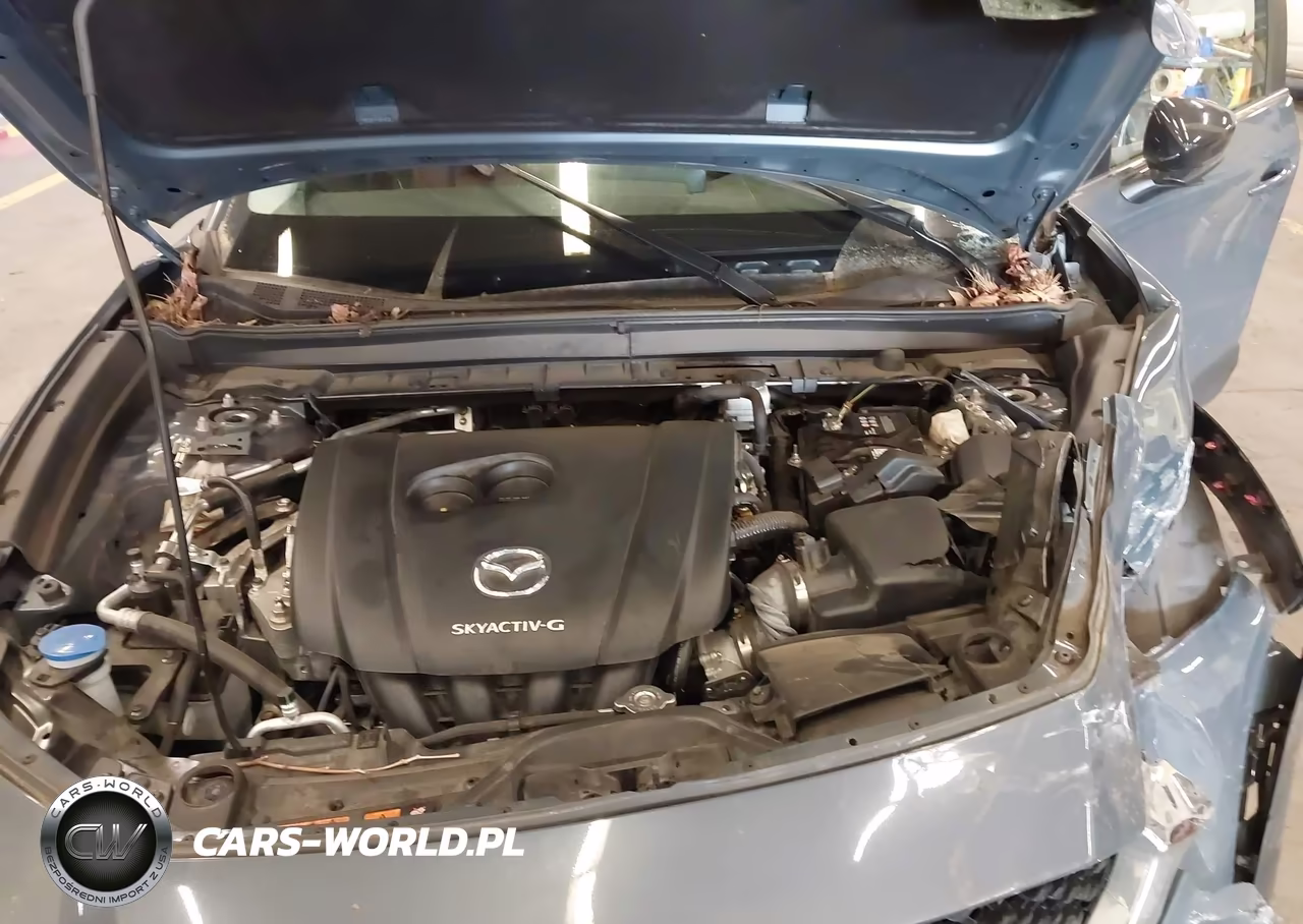 2022 Mazda Cx-30 Carbon Edition VIN:3MVDMBCL3NM446816 - 10