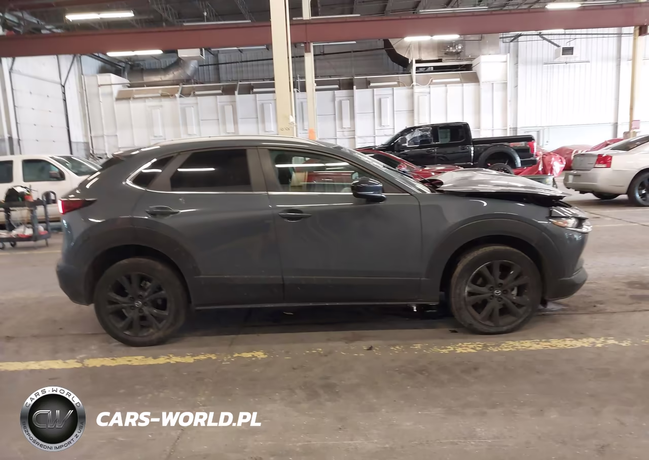 2022 Mazda Cx-30 Carbon Edition VIN:3MVDMBCL3NM446816 - 13