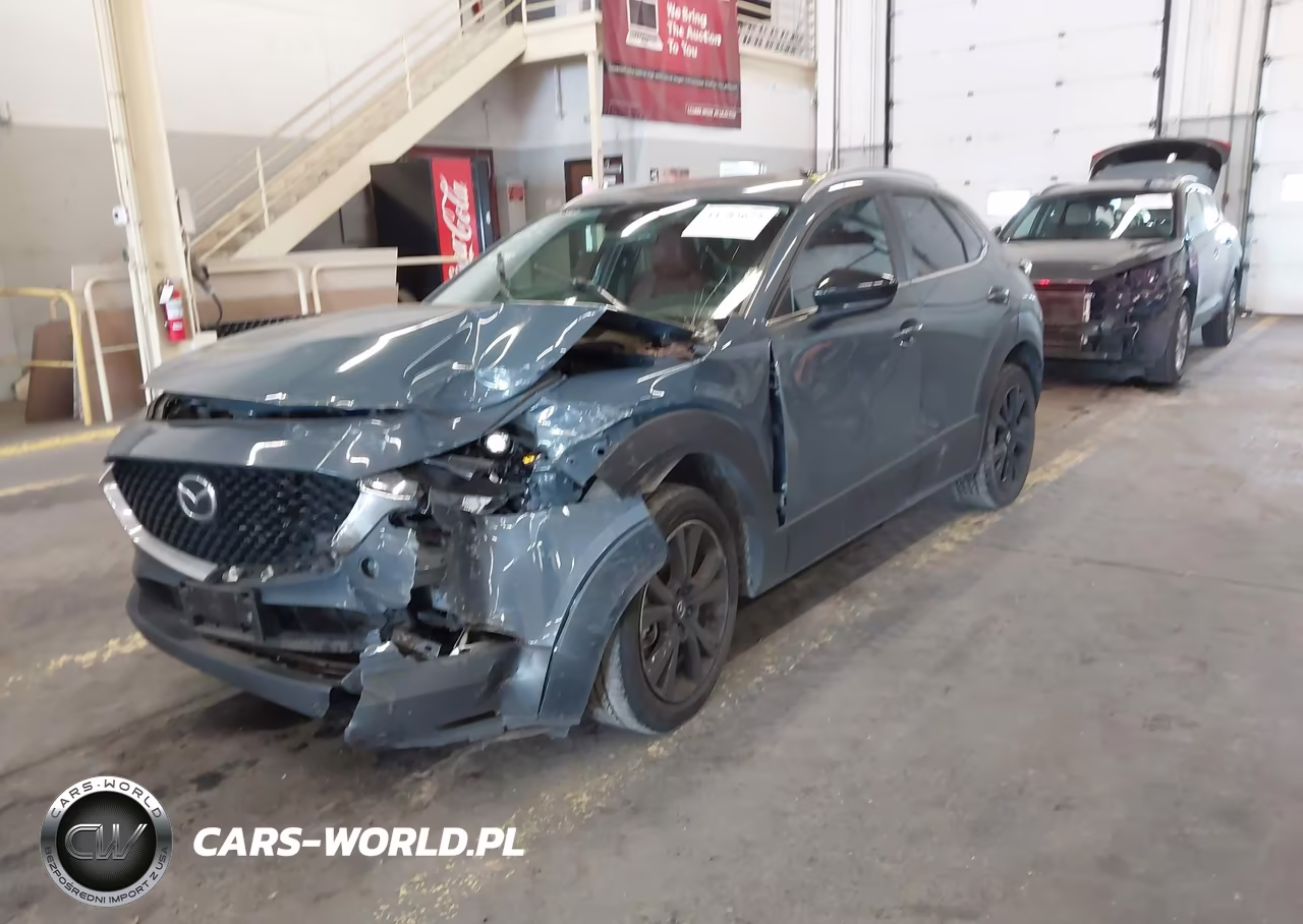 2022 Mazda Cx-30 Carbon Edition VIN:3MVDMBCL3NM446816 - 2
