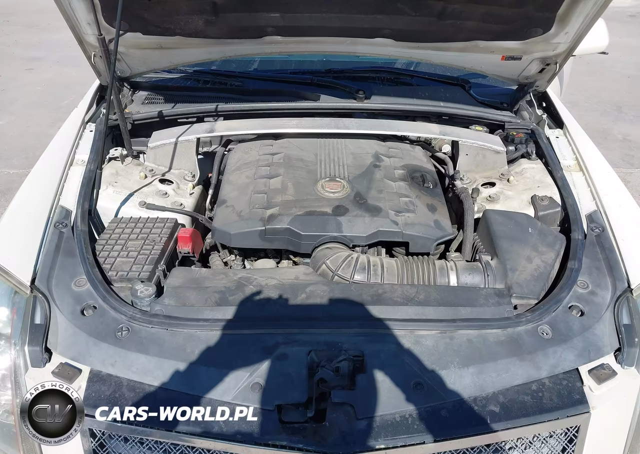 2011 Cadillac Cts Performance VIN:1G6DJ1ED4B0111656 - 10