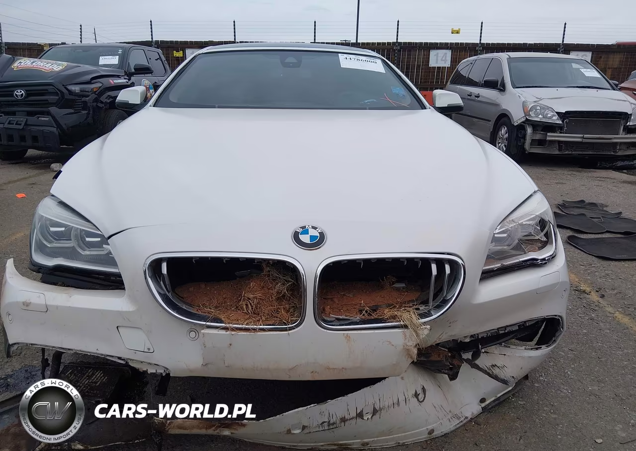 2016 BMW 650I Gran Coupe xDrive VIN:WBA6D6C59GGF94775 - 12
