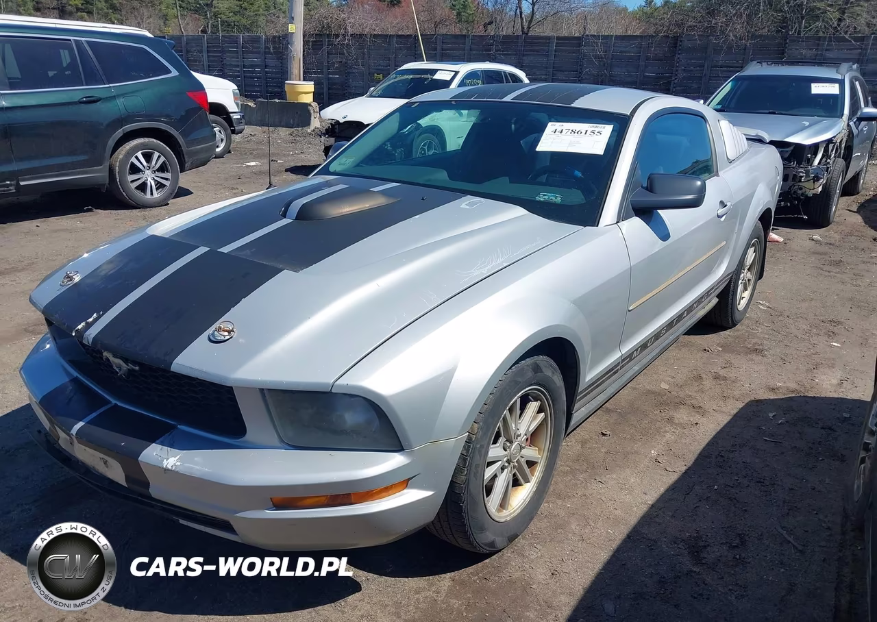 2005 Ford Mustang V6 Deluxe-V6 Premium VIN:1ZVFT80N255177670 - 2