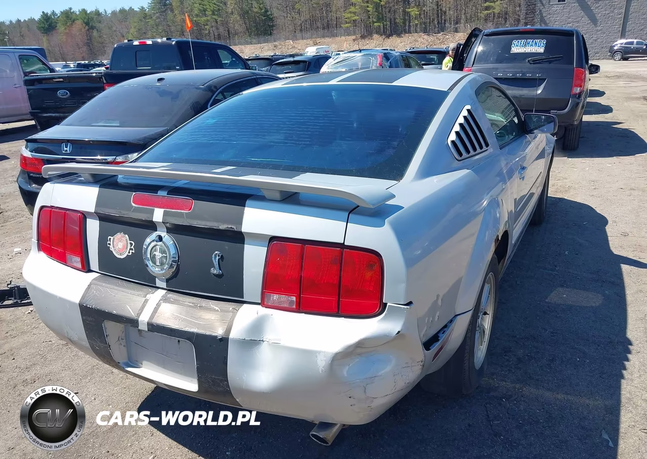 2005 Ford Mustang V6 Deluxe-V6 Premium VIN:1ZVFT80N255177670 - 4