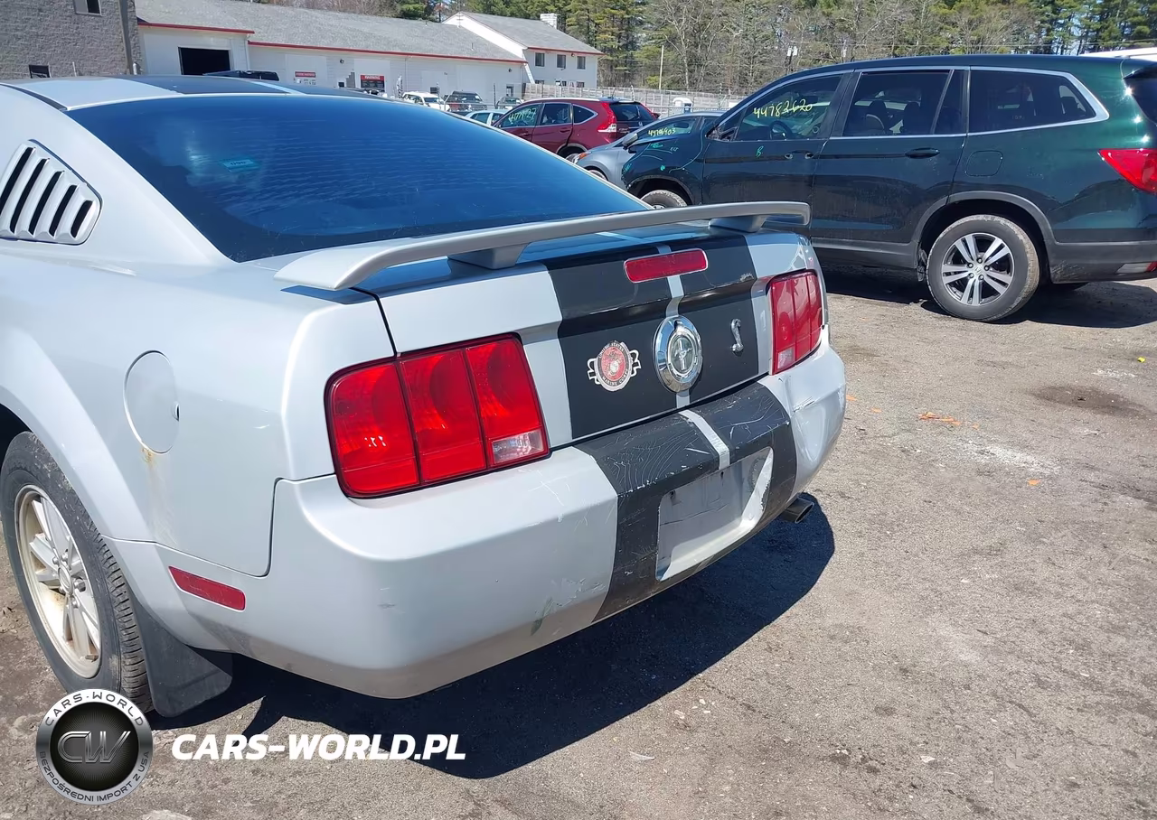 2005 Ford Mustang V6 Deluxe-V6 Premium VIN:1ZVFT80N255177670 - 6