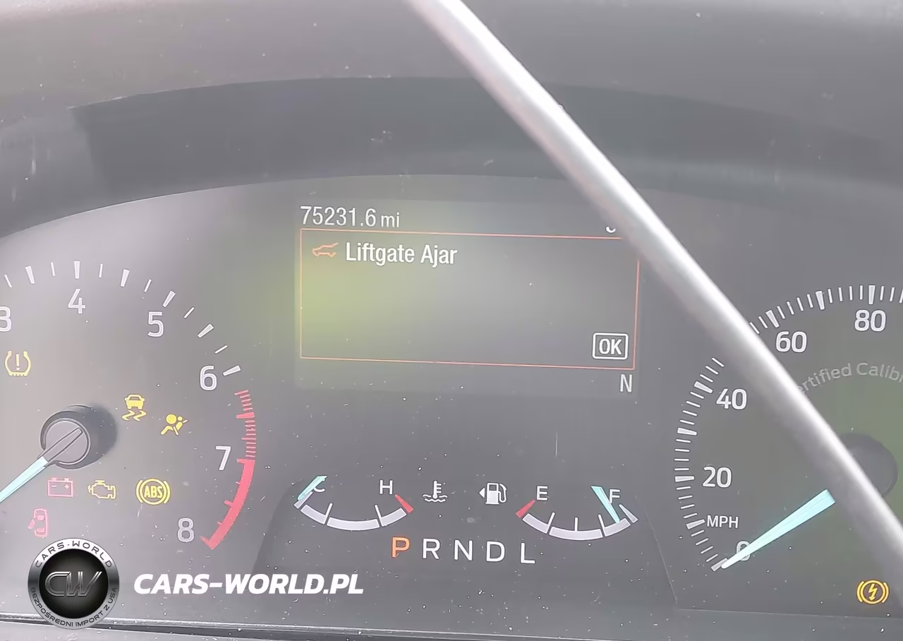 2021 Ford Police Interceptor Utility VIN:1FM5K8AB4MGA41898 - 15