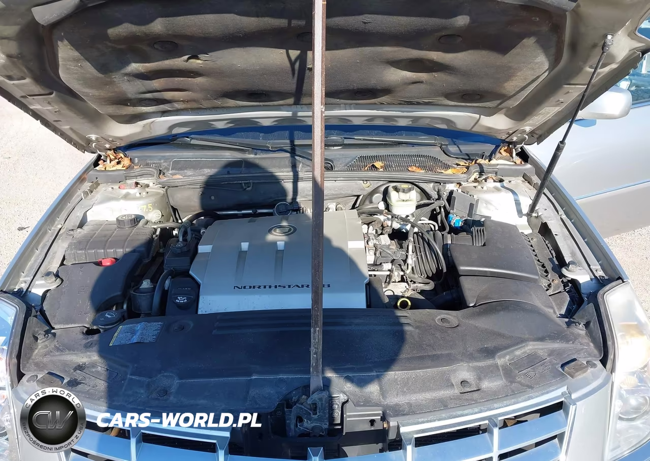 2008 Cadillac Dts 1Sb VIN:1G6KD57Y78U144741 - 10