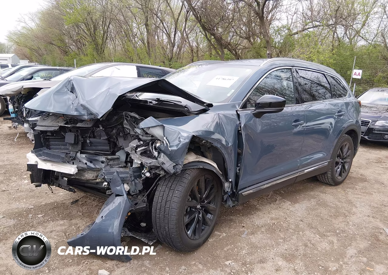 2021 Mazda Cx-9 Carbon Edition VIN:JM3TCADY2M0507876 - 2