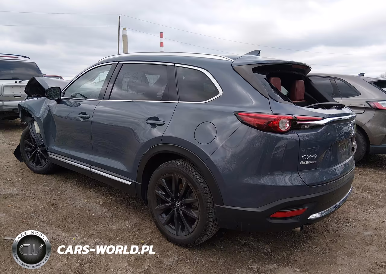 2021 Mazda Cx-9 Carbon Edition VIN:JM3TCADY2M0507876 - 3