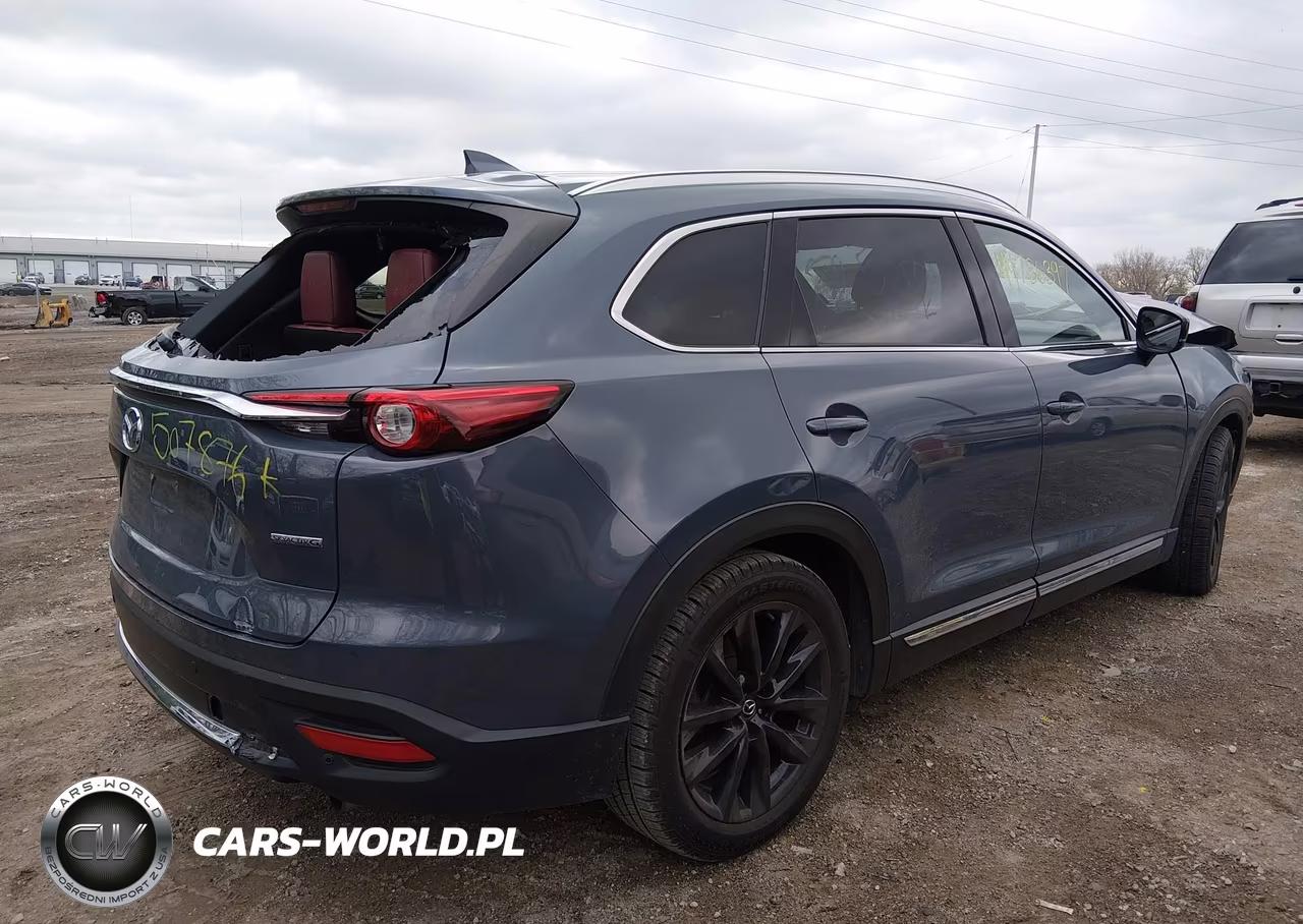2021 Mazda Cx-9 Carbon Edition VIN:JM3TCADY2M0507876 - 4