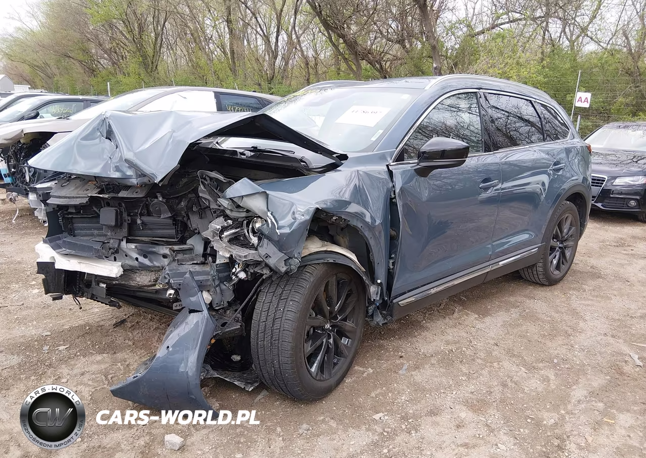 2021 Mazda Cx-9 Carbon Edition VIN:JM3TCADY2M0507876 - 6
