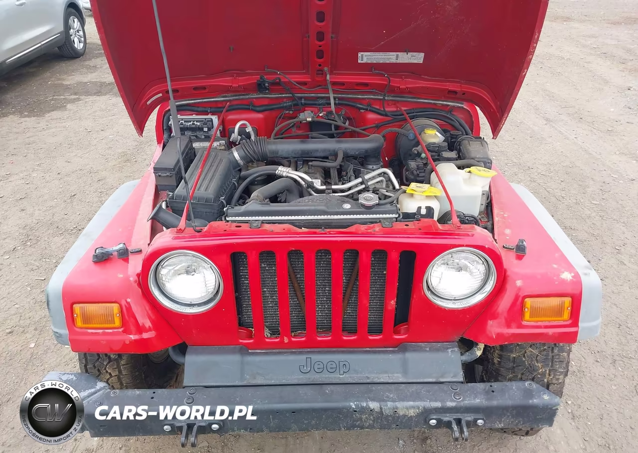 2001 Jeep Wrangler Sport VIN:1J4FA49S61P330778 - 10