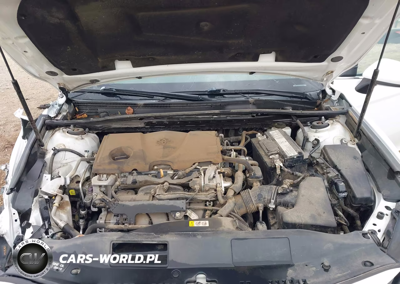 2019 Toyota Camry Le VIN:4T1B11HK8KU852945 - 10