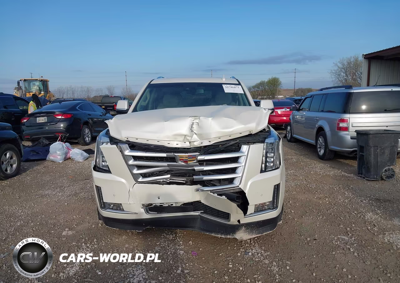 2015 Cadillac Escalade Esv Luxury VIN:1GYS4SKJ1FR728584 - 12