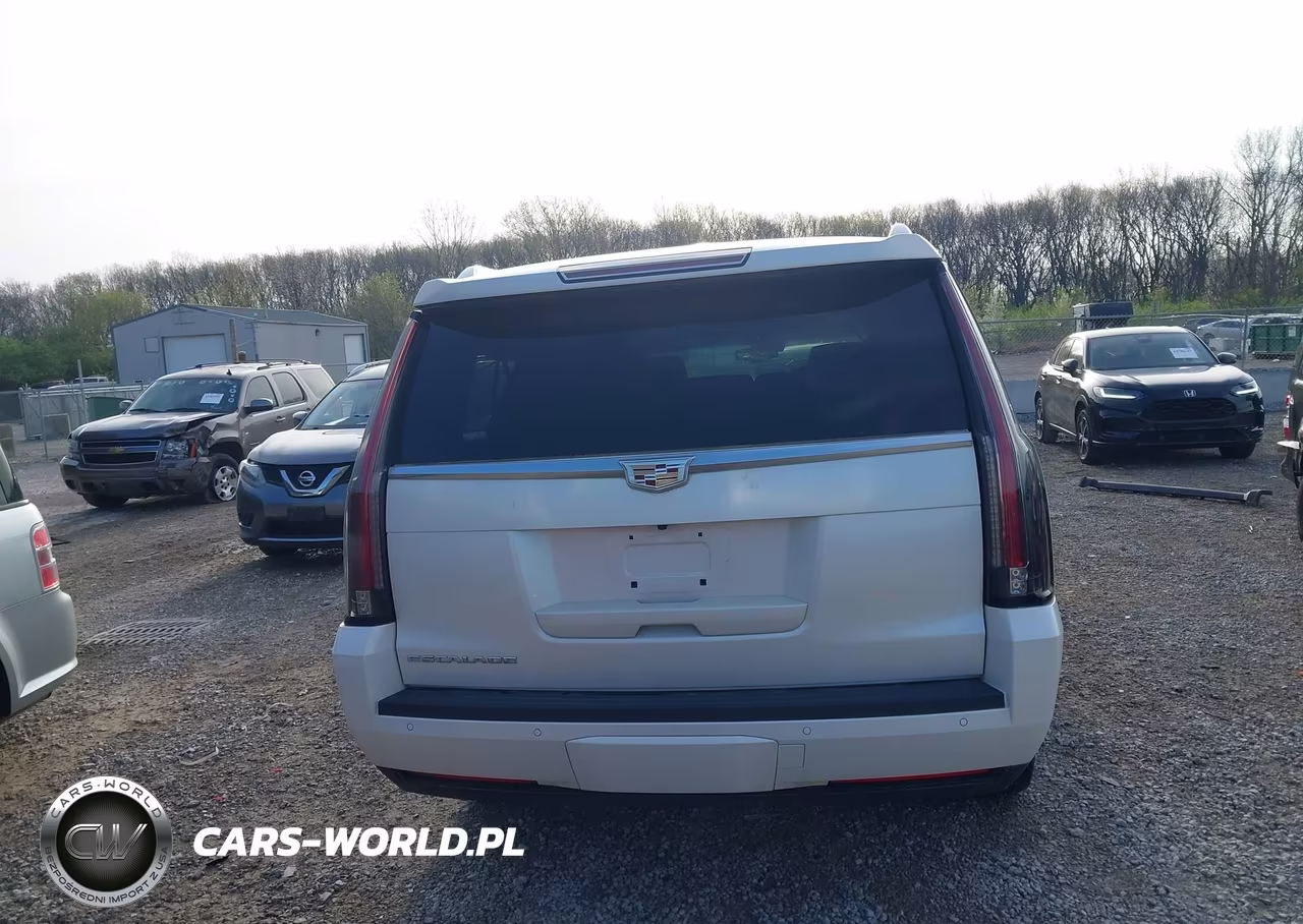 2015 Cadillac Escalade Esv Luxury VIN:1GYS4SKJ1FR728584 - 16