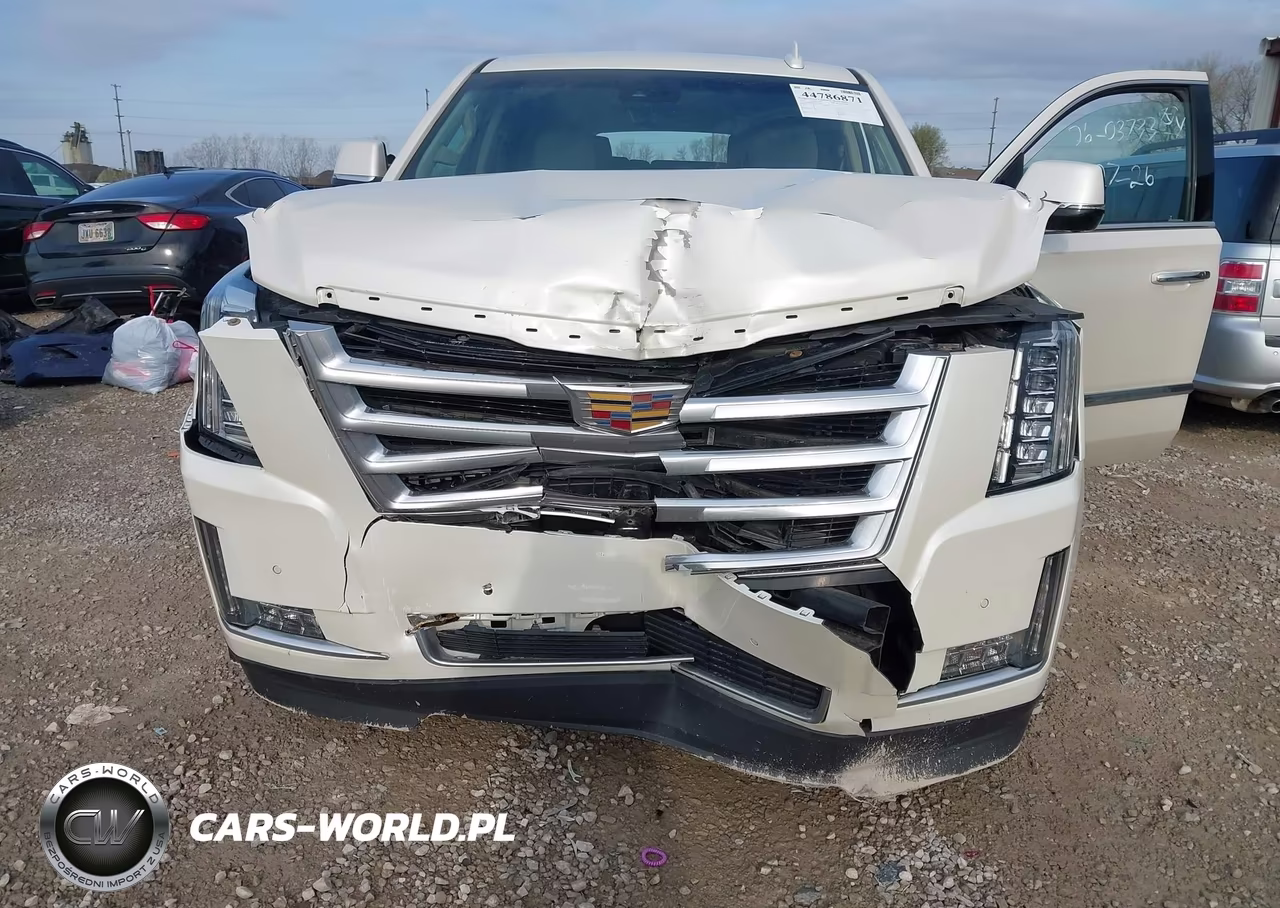 2015 Cadillac Escalade Esv Luxury VIN:1GYS4SKJ1FR728584 - 6