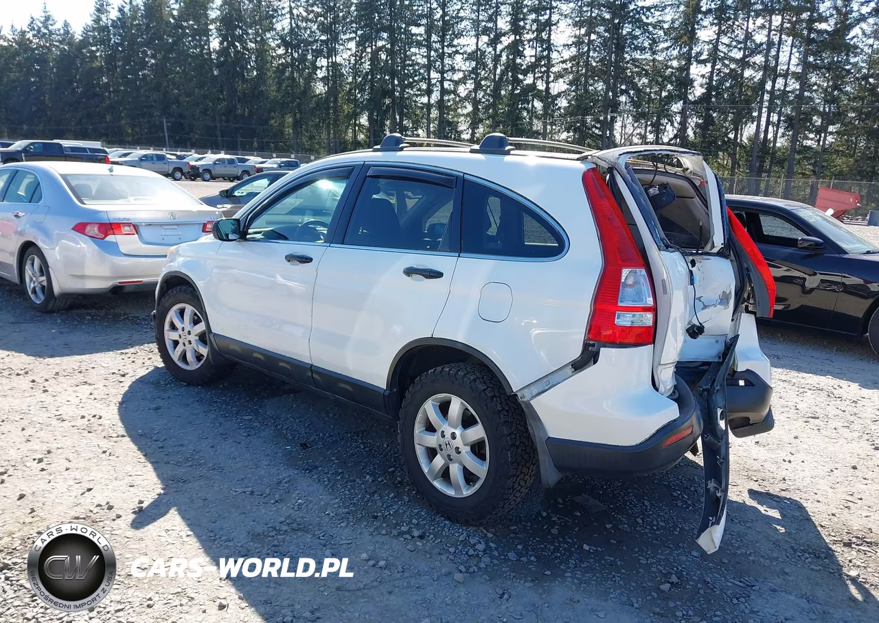 2008 Honda Cr-V Ex VIN:3CZRE385X8G703794 - 3