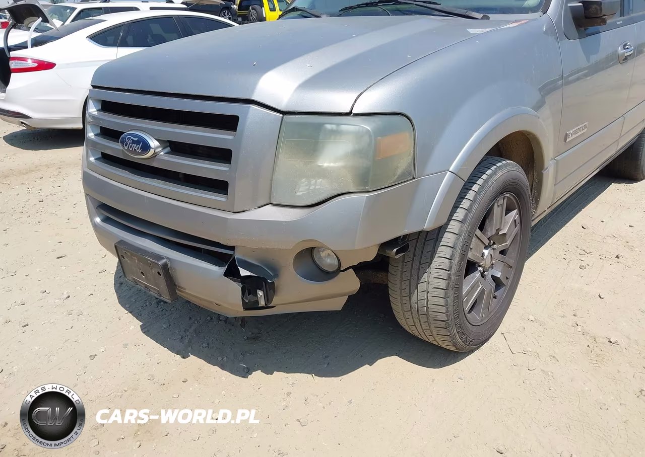 2008 Ford Expedition Limited VIN:1FMFU19528LA63805 - 6