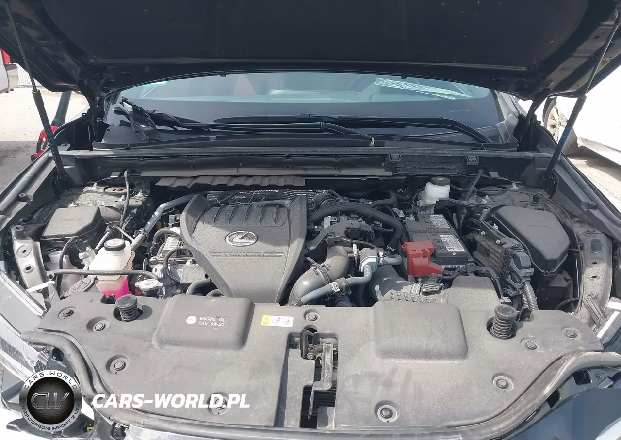 2024 Lexus Nx 350 VIN:2T2AGCEZ6RC050280 - 10