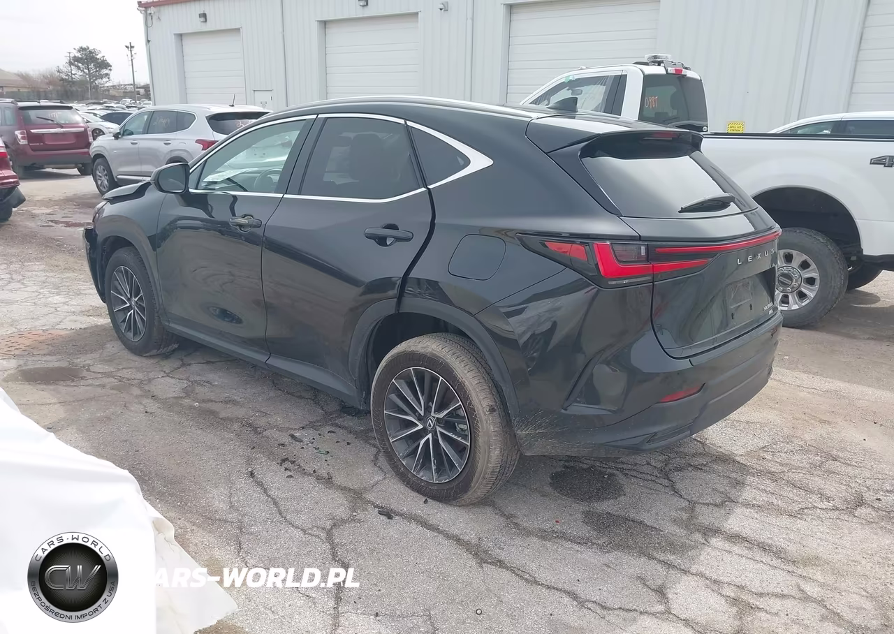 2024 Lexus Nx 350 VIN:2T2AGCEZ6RC050280 - 3