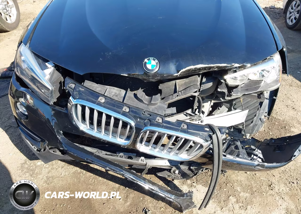 2017 BMW X3 Sdrive28I VIN:5UXWZ7C39H0V94077 - 17