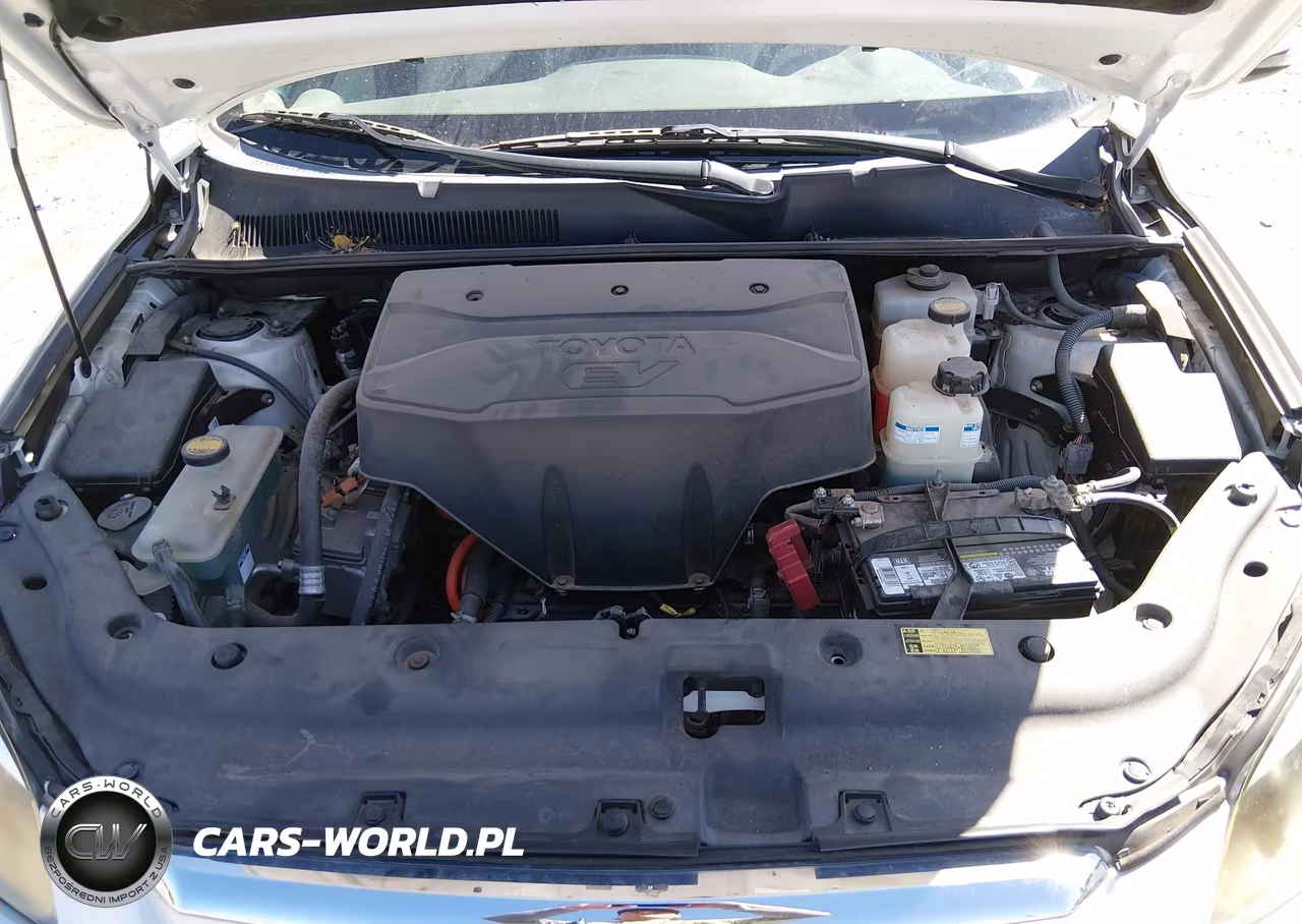 2014 Toyota Rav4 Ev VIN:2T3YL4DV6EW002894 - 10