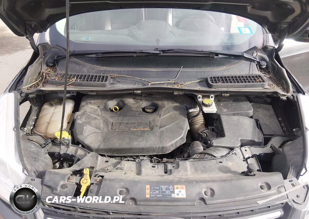 2015 Ford Escape Se VIN:1FMCU9G9XFUB53864 - 9
