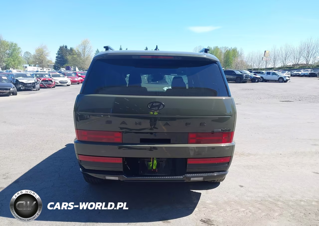 2025 Hyundai Santa Fe Hybrid Calligraphy VIN:5NMP5DG15SH040907 - 16