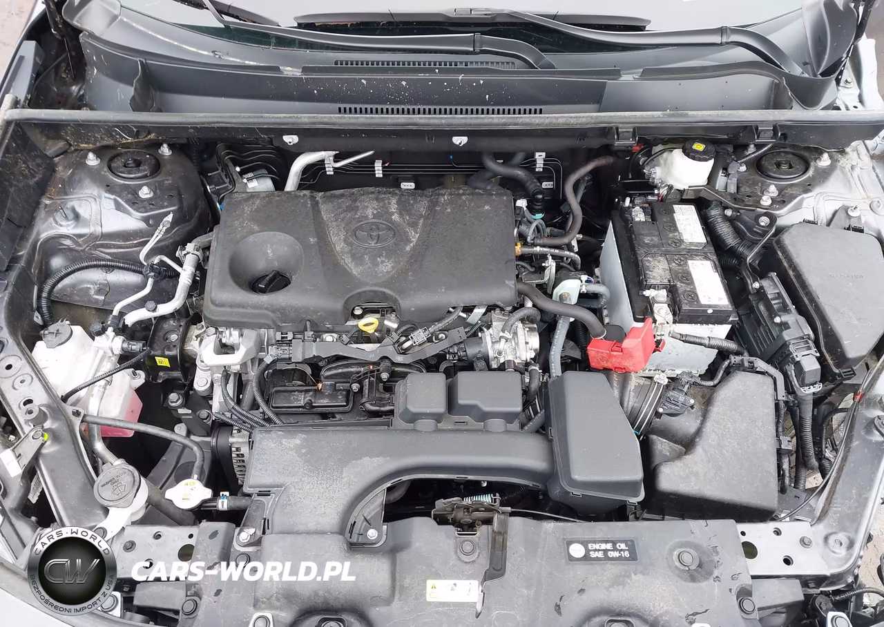 2024 Toyota Rav4 Xle VIN:2T3P1RFV0RW446984 - 10
