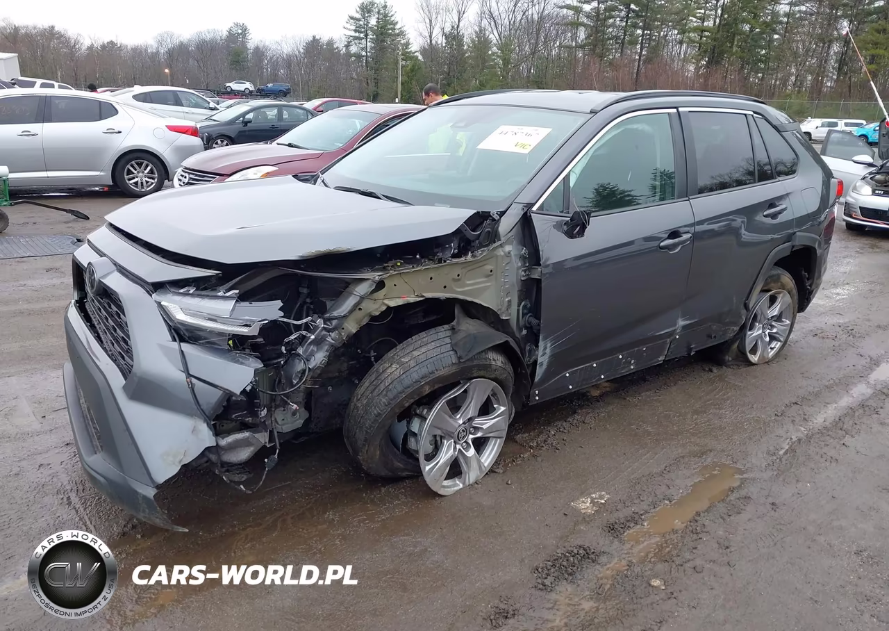 2024 Toyota Rav4 Xle VIN:2T3P1RFV0RW446984 - 2