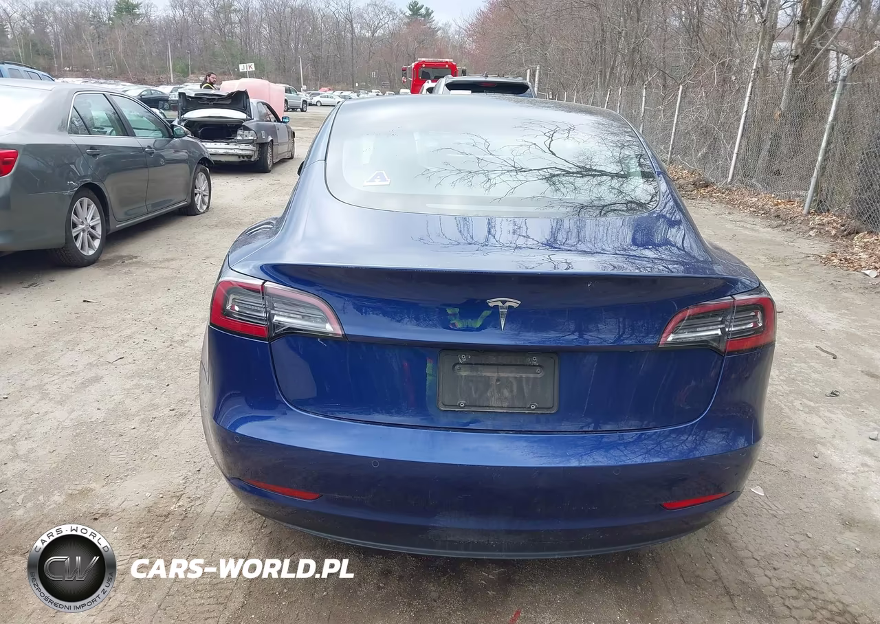 2022 Tesla Model 3 Rear-Wheel Drive VIN:5YJ3E1EA3NF252162 - 16