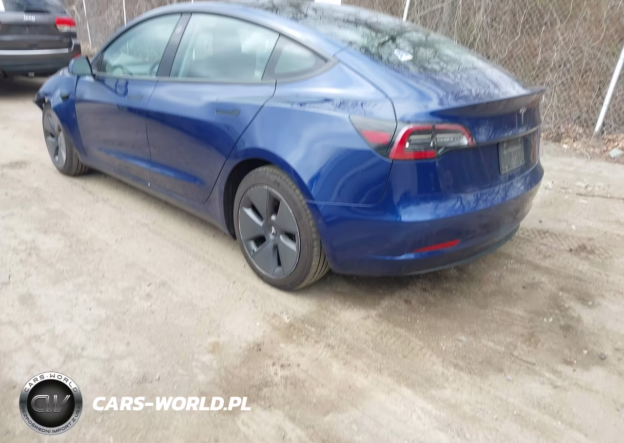 2022 Tesla Model 3 Rear-Wheel Drive VIN:5YJ3E1EA3NF252162 - 3