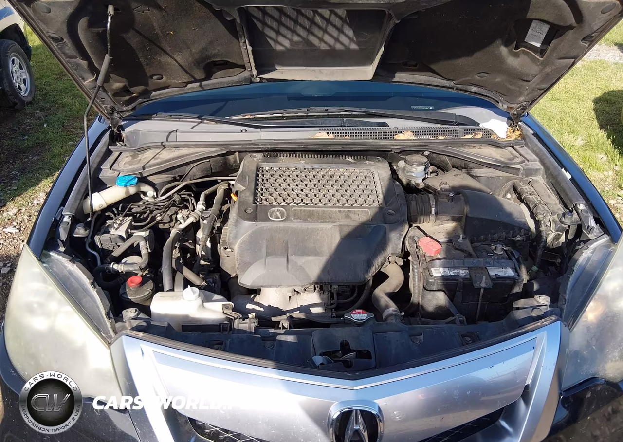 2010 Acura Rdx VIN:5J8TB2H29AA001962 - 10