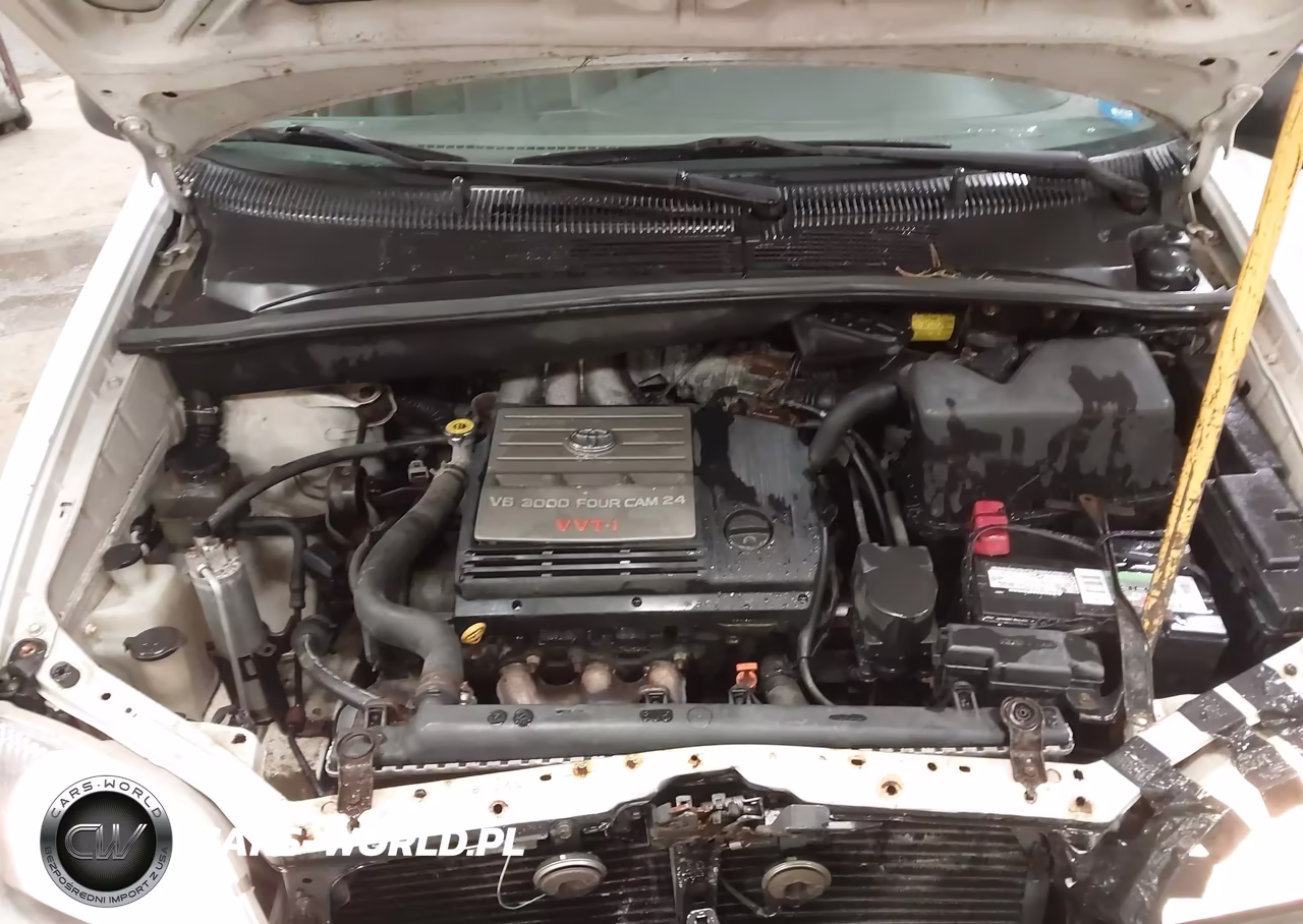 2001 Toyota Sienna Le VIN:4T3ZF13C31U367800 - 10
