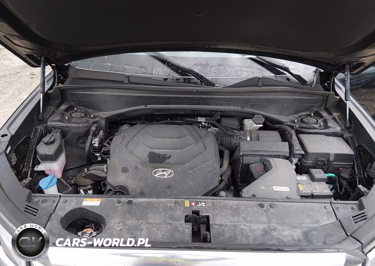 2023 Hyundai Palisade Calligraphy VIN:KM8R7DGE7PU557420 - 10